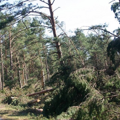 Działacze Sojuszu w Grudziądzu ponad podziałami zorganizowali pomoc dla ofiar nawałnic